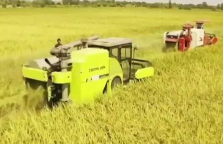 【在希望的田野上】搶抓農(nóng)時忙秋收 確保顆粒皆歸倉