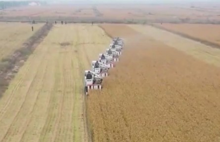 【在希望的田野上】全國秋糧收獲過八成