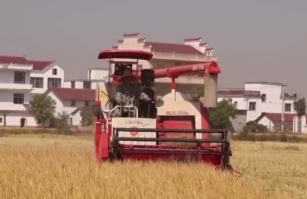 【在希望的田野上】各地加速推進秋收 秋冬種同步展開
