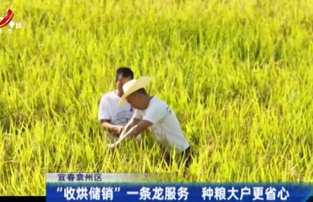江西宜春：“收烘儲(chǔ)銷”一條龍服務(wù) 種糧大戶更省心