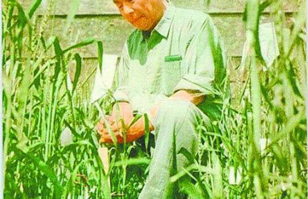 戴松恩：在祖國大地上煥發(fā)智慧光彩