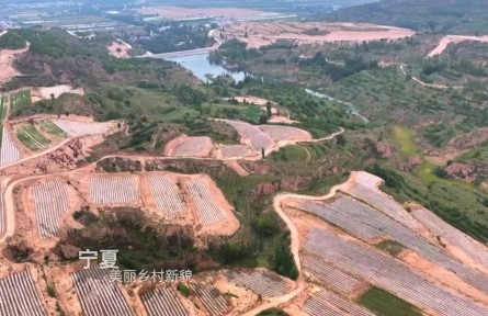 “塞上江南”萬象新——寧夏以黨建引領(lǐng)加快推進(jìn)鄉(xiāng)村全面振興紀(jì)實(shí)