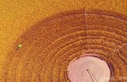 【數(shù)字十年】中國人把飯碗牢牢端在自己手中