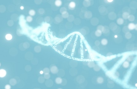 科技名詞 | 長壽基因  longevity genes