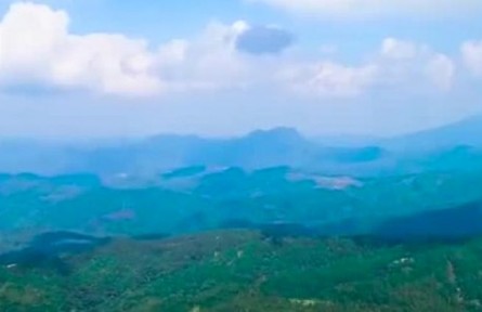 海南：心懷“國(guó)之大者” 高水平高質(zhì)量建設(shè)海南熱帶雨林國(guó)家公園