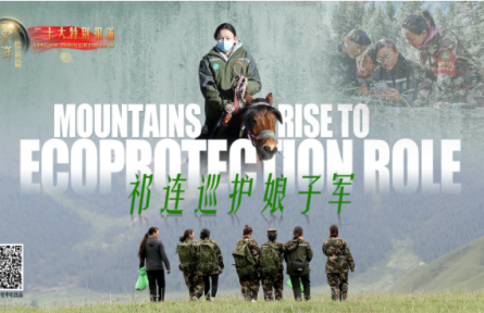 光影十年繪新篇：祁連巡護娘子軍