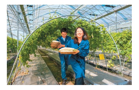 推進(jìn)鄉(xiāng)村振興 邁向共同富裕——二十大代表談學(xué)習(xí)貫徹黨的二十大精神