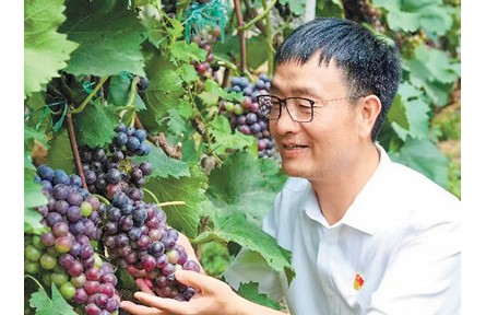 裴春亮：帶村民過上好日子，活出精氣神