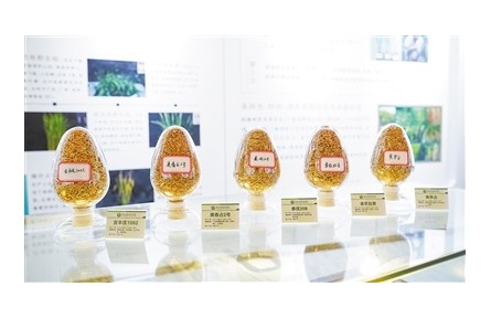 這個“圖書館”助力廣東育成一批優(yōu)質品種