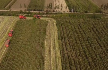 山東高密：13.5萬(wàn)畝托管大田，塊塊都有“專職保姆”