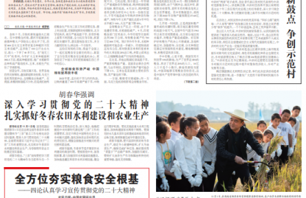 全球糧食減產(chǎn)背景下，中國(guó)為何能取得秋糧豐收？