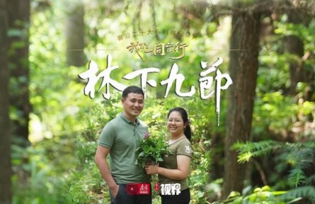 林更綠，民更富！老兵化作“新農(nóng)人”，賦能粵北南嶺林下生態(tài)富民路