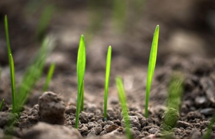 立冬：蓄能積勢(shì)，孕育未來(lái)