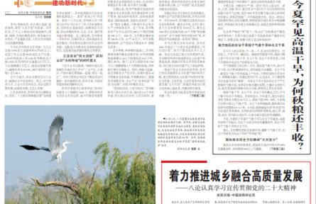 今夏罕見(jiàn)高溫干旱，為何秋糧還豐收？