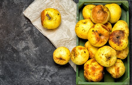 辟謠 | 食物變質(zhì)，加熱就能重新吃？