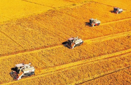 神州大地美如畫(huà)