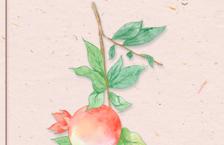 物種故事 | 石榴：榴枝婀娜榴實繁，榴膜輕明榴子鮮