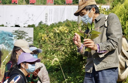 南京醫(yī)科大學康達學院：“三融合”讓山林采藥實踐課有趣又有用