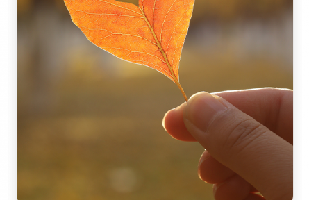 名言 | 葛洪：仁人之視人也如己，待疏也猶密