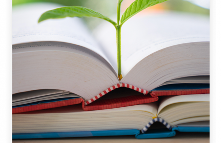 名言 | 顏真卿：黑發(fā)不知勤學(xué)早，白首方悔讀書遲