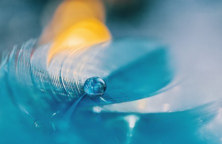 科普 | 露珠為什么是球形的？