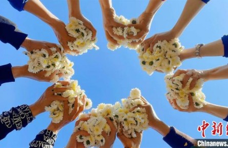 皖南古山村：菊花飄香豐收忙