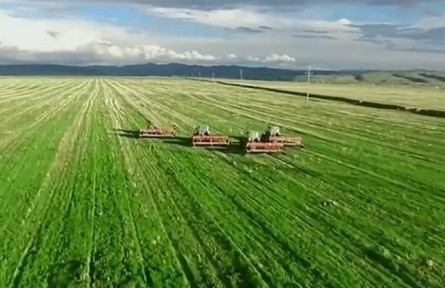 青海：迎來又一個(gè)豐收年