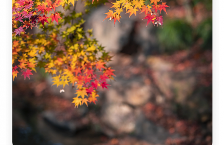 劉勰：歲有其物，物有其容；情以物遷，辭以情發(fā)