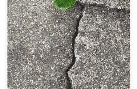 名言 | 尼采：大地上生長(zhǎng)的東西，還有什么比高而強(qiáng)勁的意志更令人歡愉