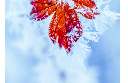 名言 | 胡宏：有源之水，寒冽不凍；有德之人，厄窮不塞