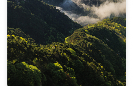 名言 | 劉安：太山之高，背而弗見(jiàn)；秋毫之末，視之可察