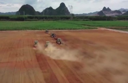 各地推進(jìn)田間管理 確保小麥安全越冬