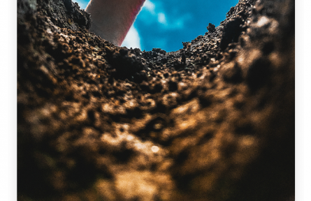 名言 | 老子：天下難事，必作于易；天下大事，必作于細(xì)