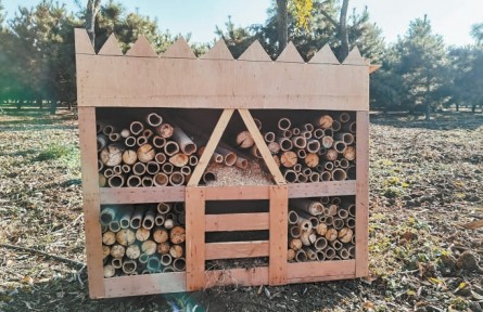 北京懷柔這“小區(qū)”功能多，喜鵲、松鼠、甲蟲“拎包入住” 山野精靈安家千畝密林