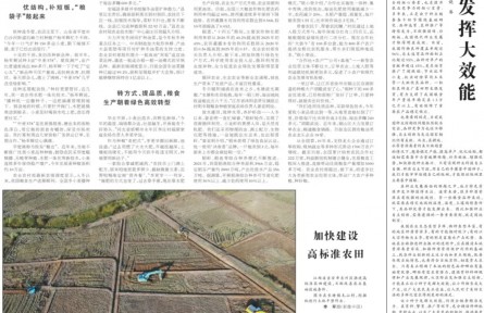 優(yōu)化結(jié)構(gòu)、轉(zhuǎn)變方式、暢通銷路 各地穩(wěn)產(chǎn)優(yōu)產(chǎn)舉措讓種糧更有奔頭