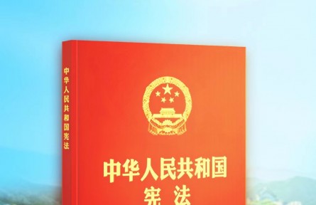 海報：第九個國家憲法日