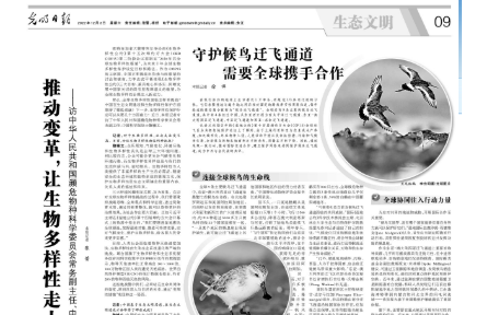 推動變革，讓生物多樣性走上復蘇之路