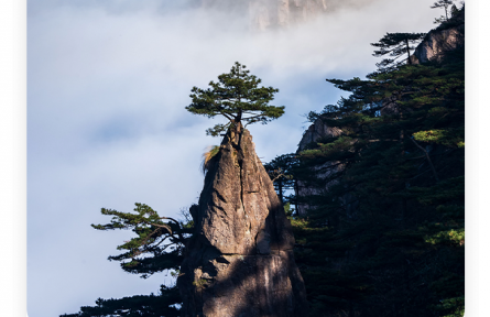王勃：老當益壯，寧移白首之心；窮且益堅，不墜青云之志