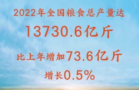 增產(chǎn)豐收！2022年全國(guó)糧食總產(chǎn)量達(dá)13730.6億斤