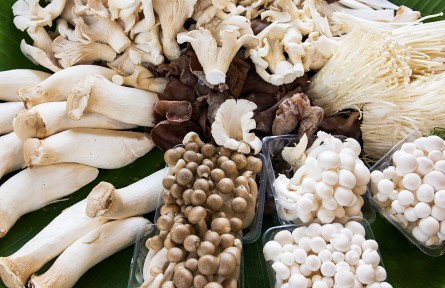 辟謠 | 市場上買的蘑菇真有甲醛嗎？