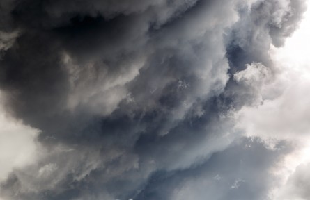 科技名詞 | 毒物  toxicant