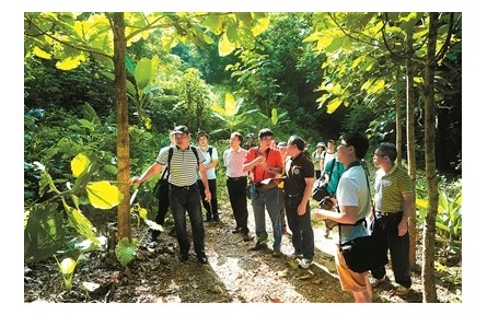 白嘉雨：將青春和智慧奉獻(xiàn)給熱帶林業(yè)事業(yè)