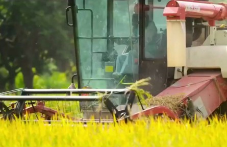 了不起的“新農(nóng)人”！