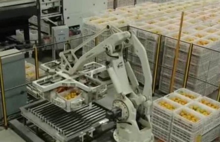 “南菜北運(yùn)”加速 豐富百姓餐桌