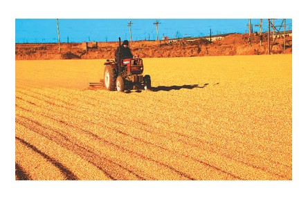 回眸2022，十組數(shù)據(jù)看經(jīng)濟社會發(fā)展亮點