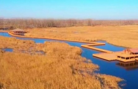 河北雄安新區(qū)：冬日白洋淀 唯美如畫(huà)卷