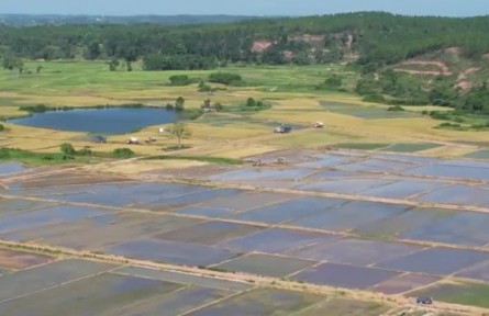 新時(shí)代 新征程 新偉業(yè)｜南昌大學(xué)研究團(tuán)隊(duì)：扎根田野 服務(wù)鄉(xiāng)村 書寫油茶助農(nóng)大文章