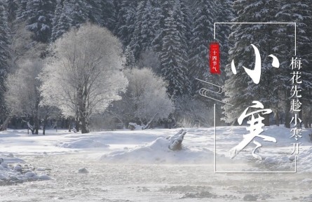 小寒，梅花先趁小寒開