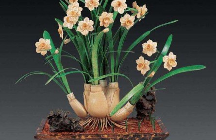 如何防止水仙花葉子長得太高？