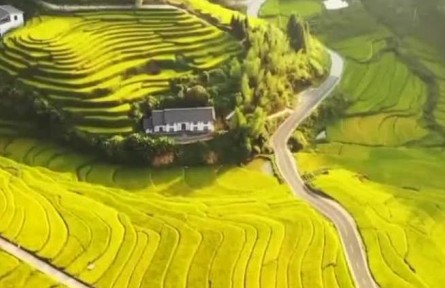 【穩(wěn)經(jīng)濟(jì) 促發(fā)展 強(qiáng)信心·權(quán)威訪(fǎng)談】全力以赴端牢端穩(wěn)中國(guó)飯碗